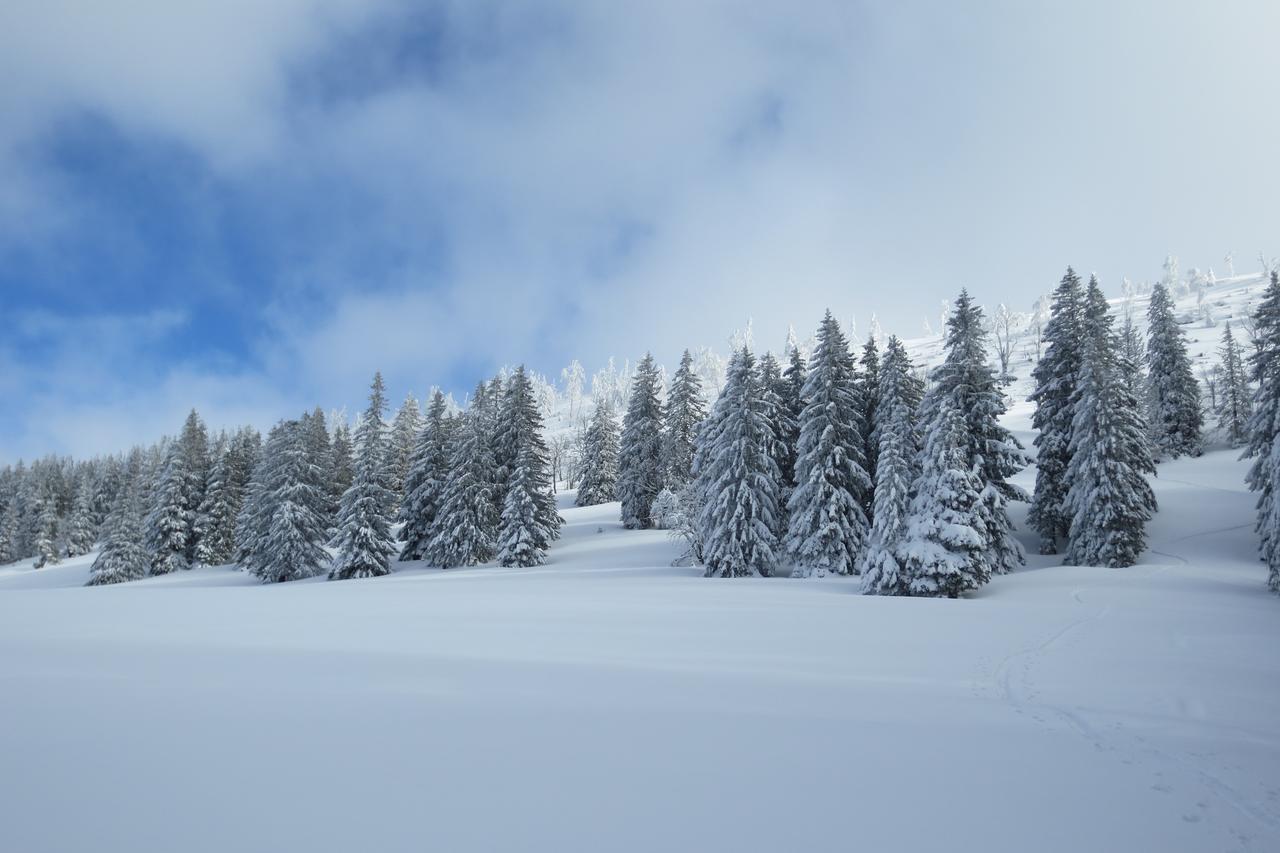 Bnb Villa Levanta Péry Buitenkant foto